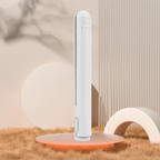Mini lisseur sans fil – plaques céramique, rechargeable par USB