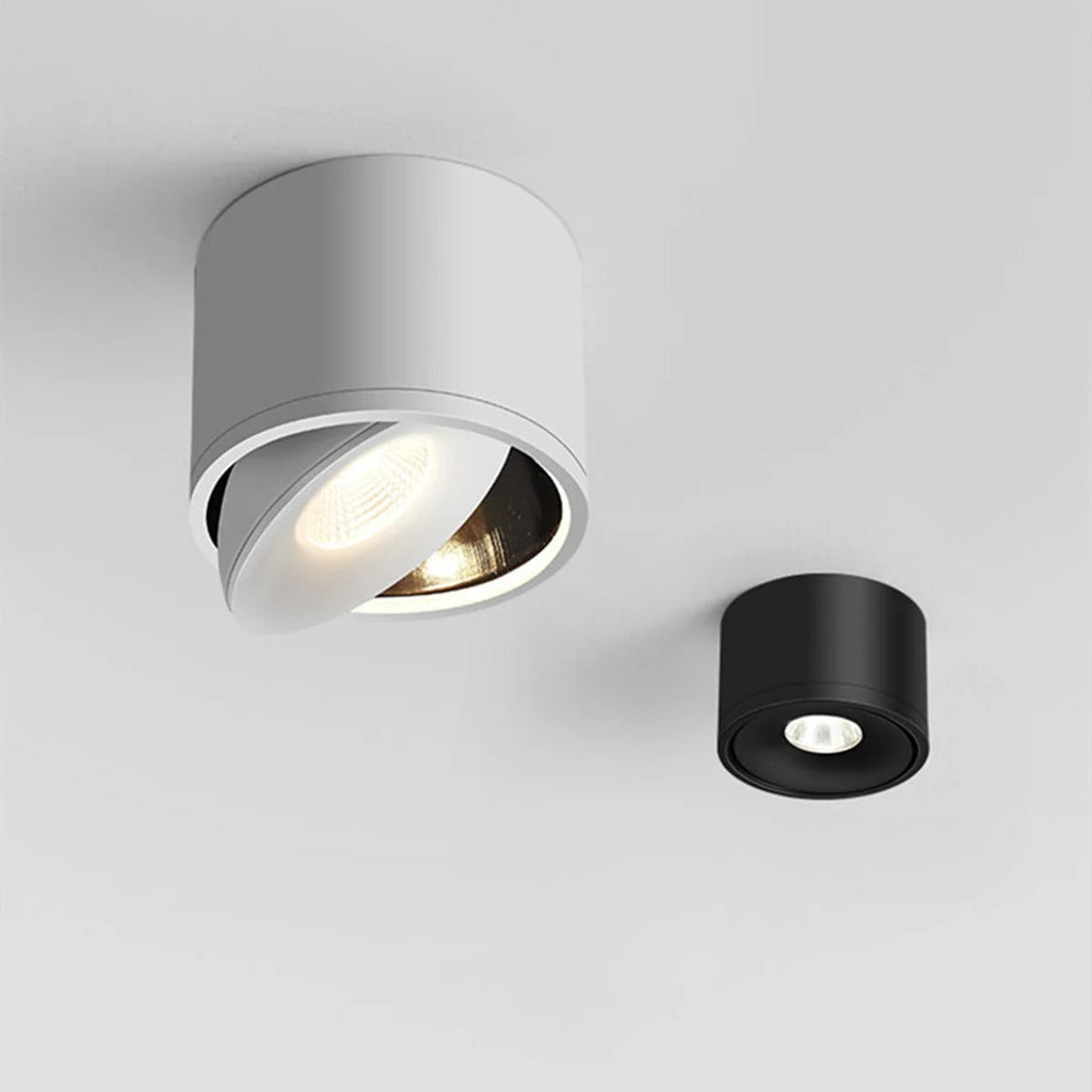 Spot de plafond orientable – montage en saillie, tête pivotante