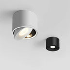 Spot de plafond orientable – montage en saillie, tête pivotante