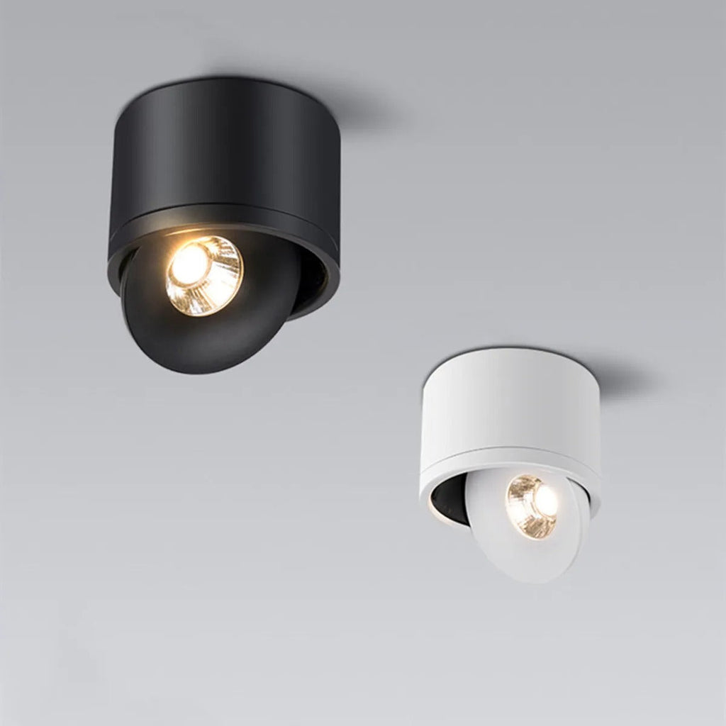Spot de plafond orientable – montage en saillie, tête pivotante