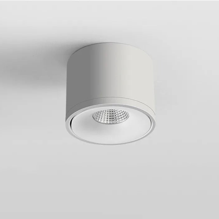 Spot de plafond orientable – montage en saillie, tête pivotante
