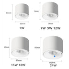 Spot de plafond orientable – montage en saillie, tête pivotante