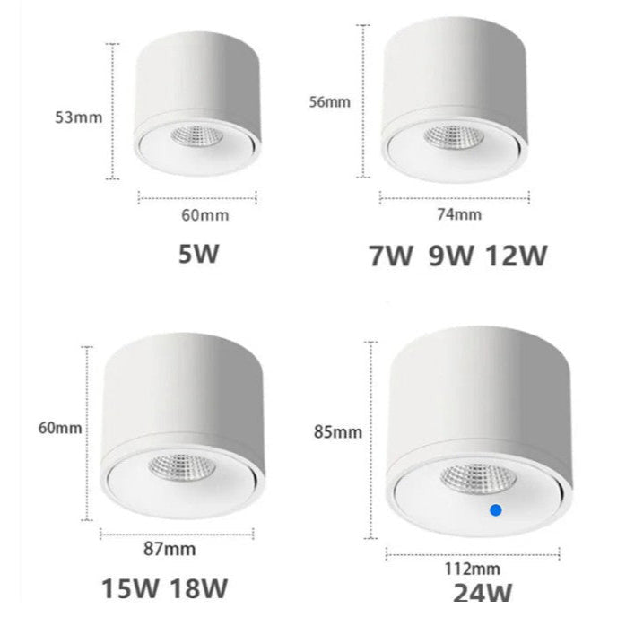 Spot de plafond orientable – montage en saillie, tête pivotante
