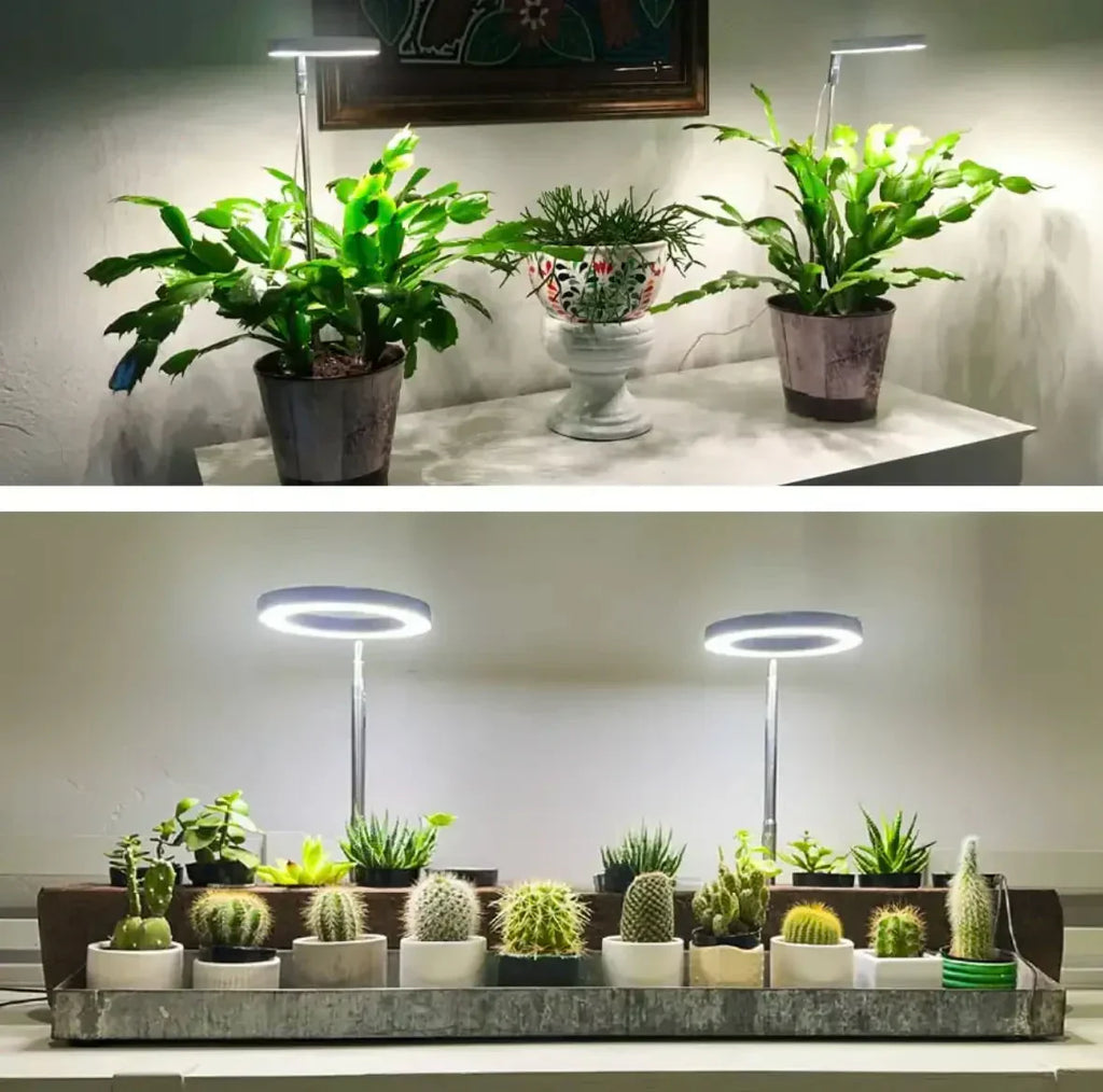 Lampe horticole spectre complet – bras flexible et minuterie