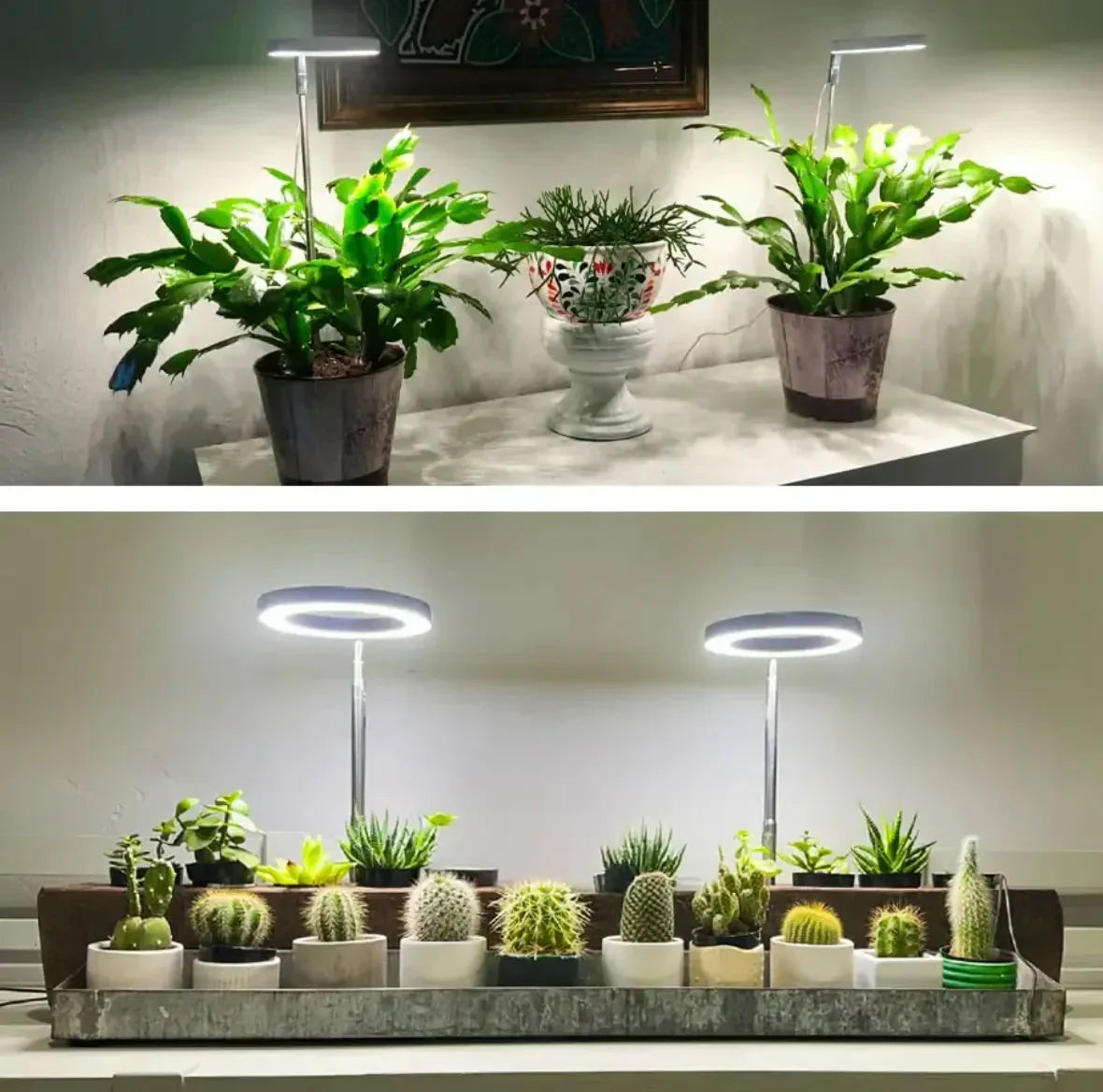 Lampe horticole spectre complet – bras flexible et minuterie
