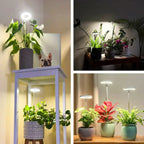 Lampe horticole spectre complet – bras flexible et minuterie