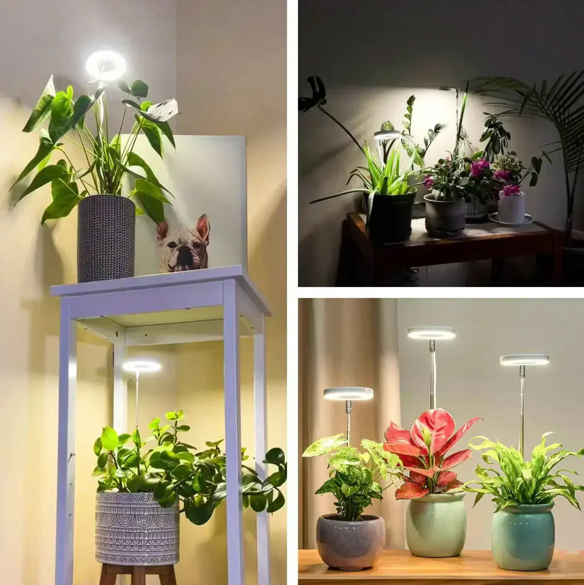 Lampe horticole spectre complet – bras flexible et minuterie
