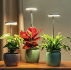 Lampe horticole spectre complet – bras flexible et minuterie