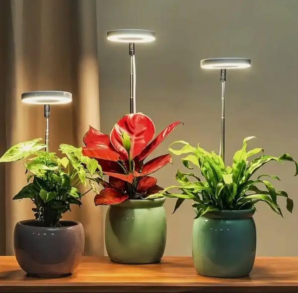 Lampe horticole spectre complet – bras flexible et minuterie
