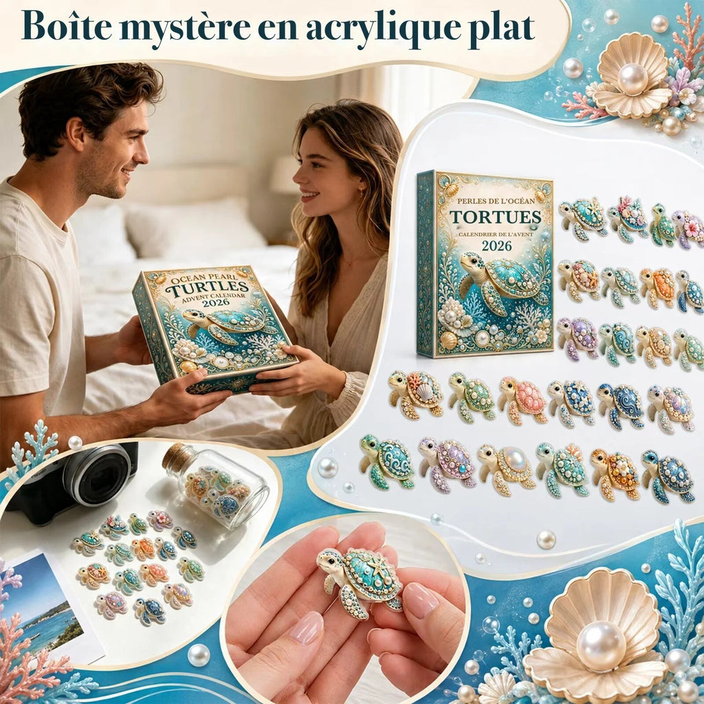 Calendrier de l'avent tortues – 24 figurines en acrylique
