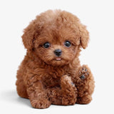 Chien robot peluche – mouvements, interaction tactile et sons