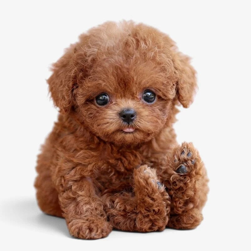 Chien robot peluche – mouvements, interaction tactile et sons