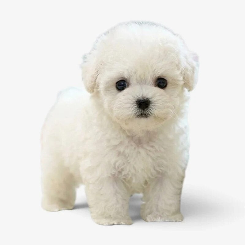 Chien robot peluche – mouvements, interaction tactile et sons