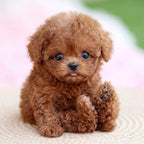 Chien robot peluche – mouvements, interaction tactile et sons