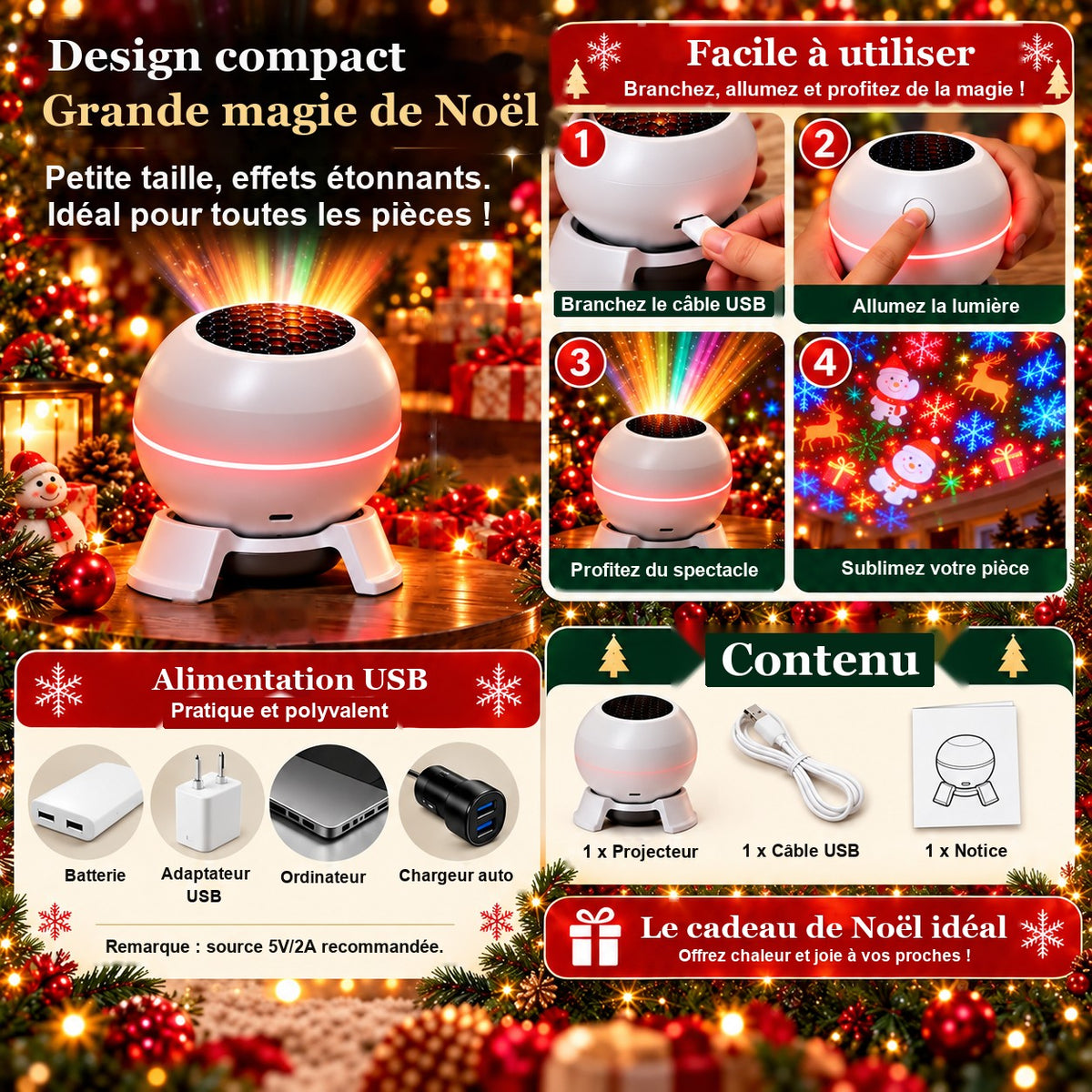 Projecteur de Noël : utilisation et contenu
